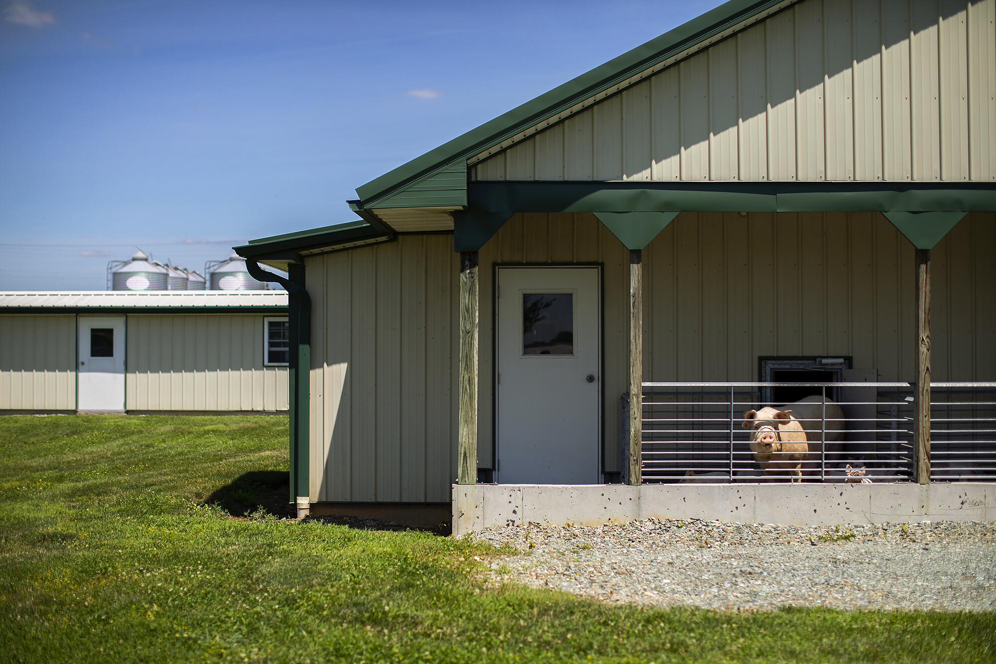swine facility at new bolton center