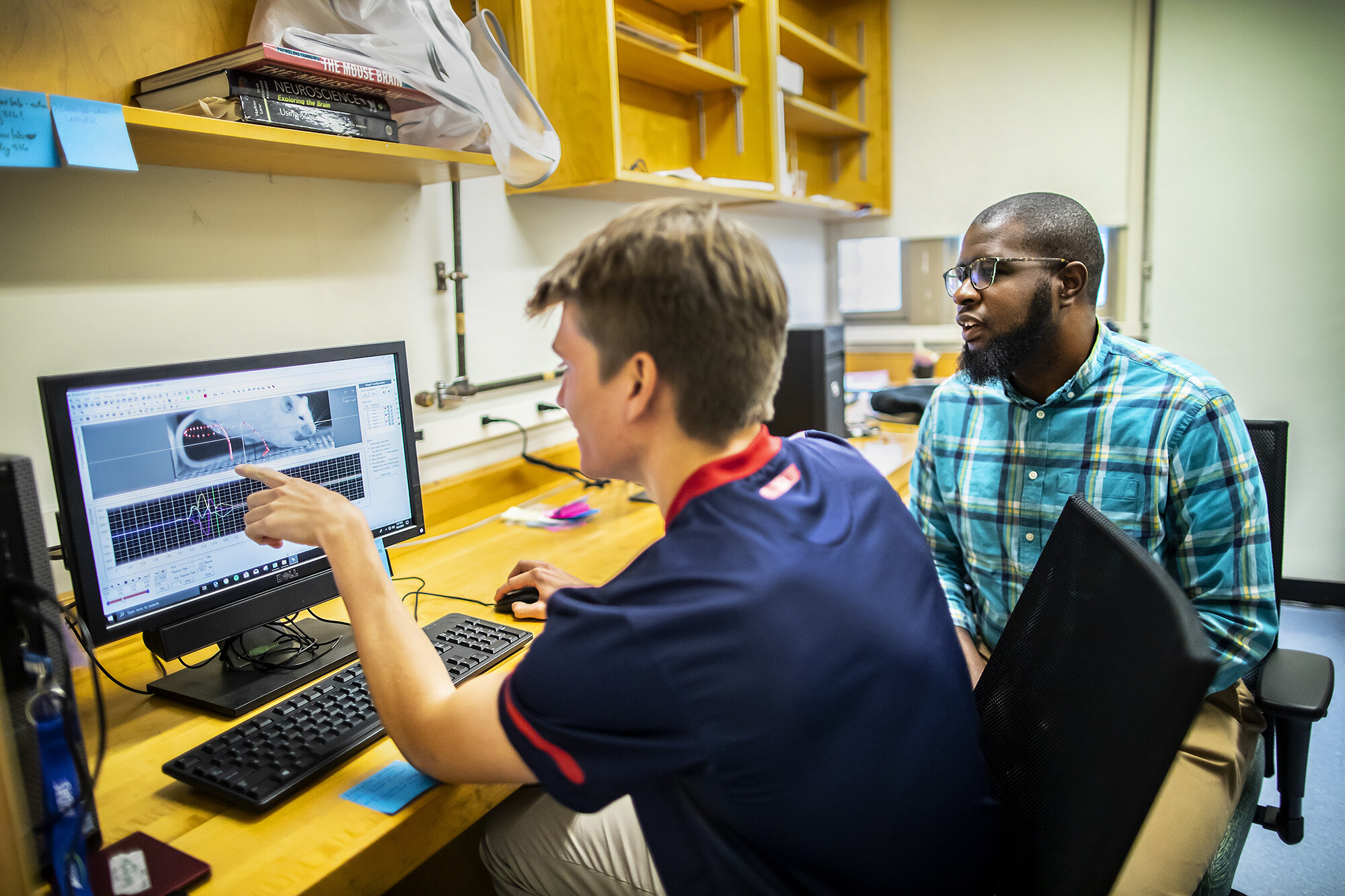 Seated person points at picture of mouse and graph on computer screen as another person looks on