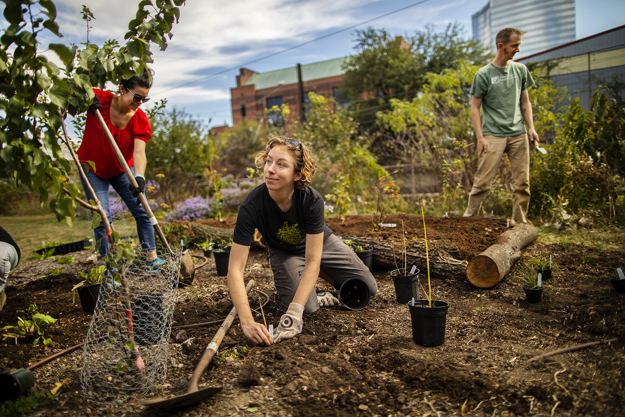 Kneeling person puts a label next to a newly planted plant. Two other gardeners work in the background.