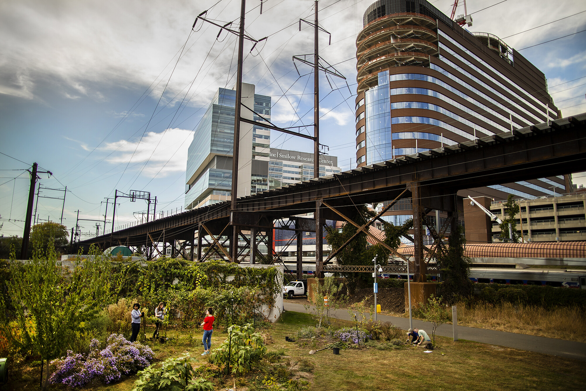 Medical buildings, power lines, and train tracks loom over an orchard where several people are working.