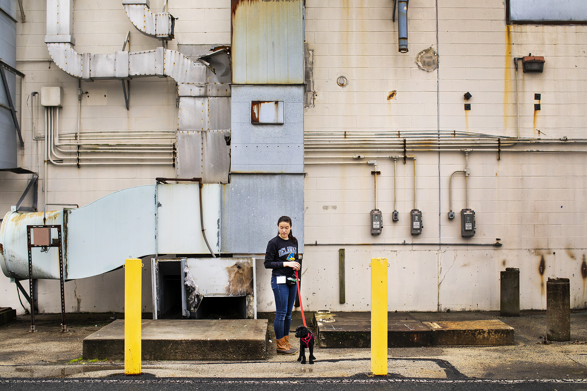 Trainer holds leash of Penn Vet Working Dog Center puppy at Pennovation Works campus