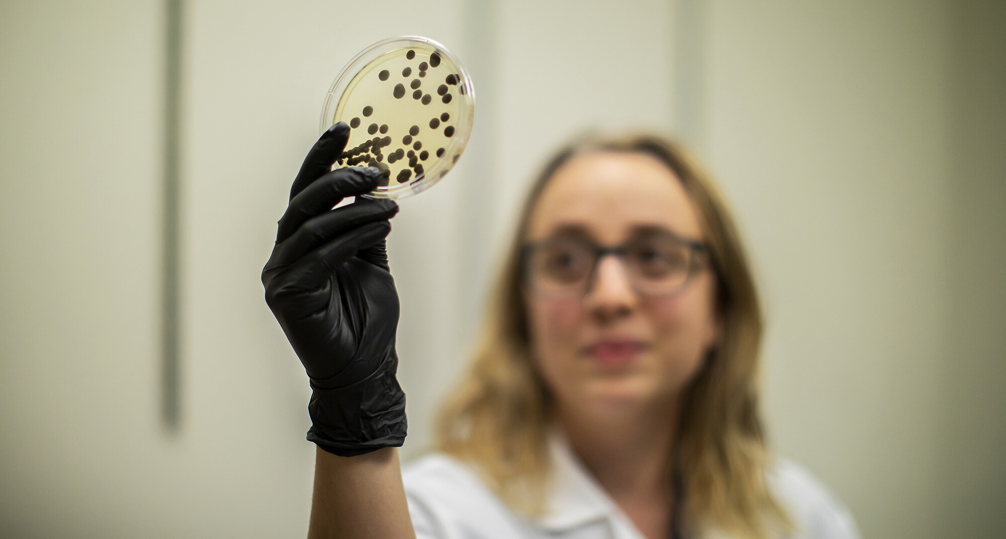 researching holding up a petri dish