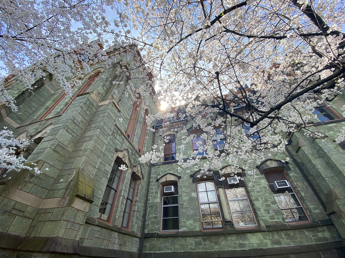 spring on campus