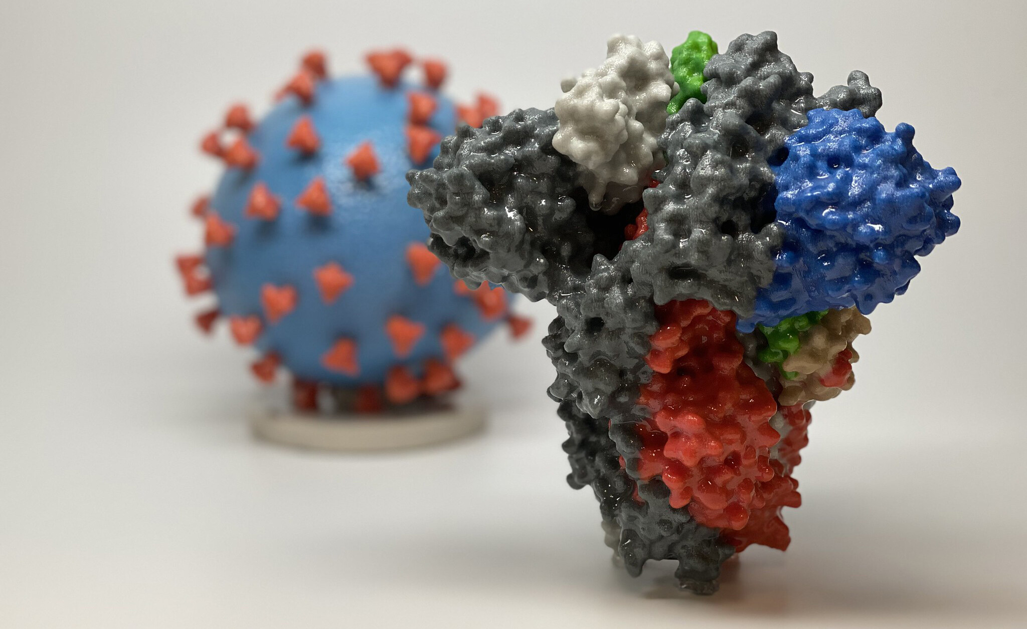3d model of covid-19