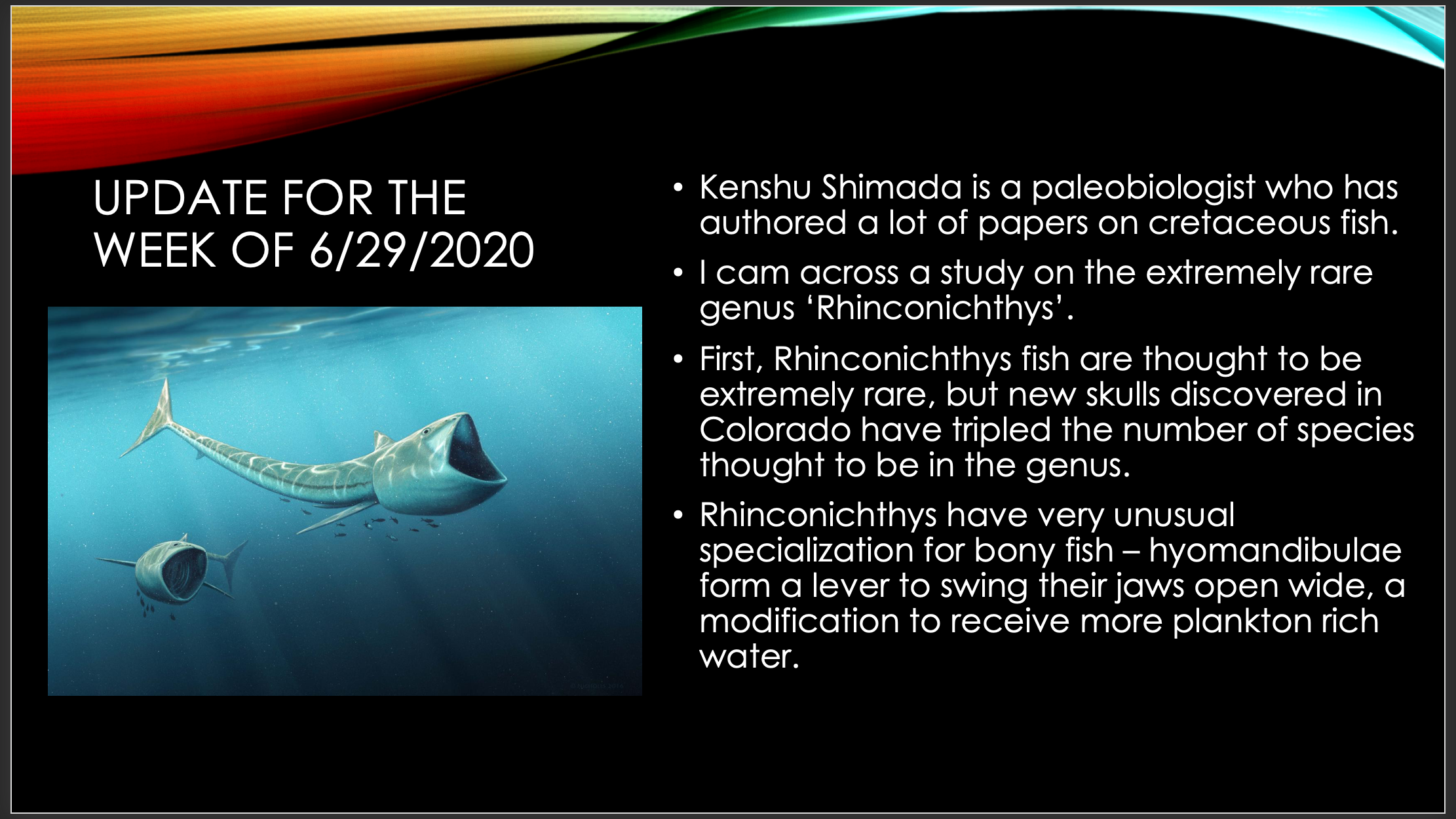 Powerpoint slide with a picture of an ancient fish giving information about it
