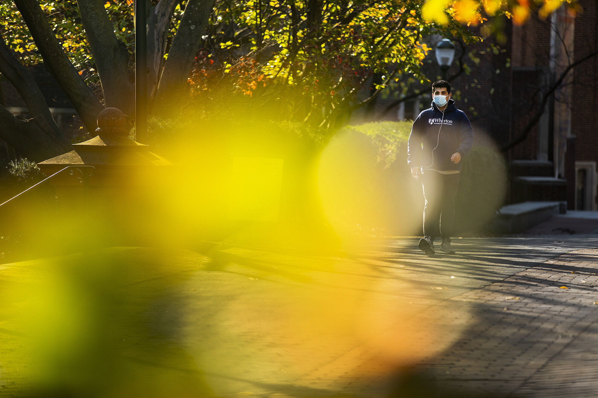 student walking on locust walk with yellow foliage