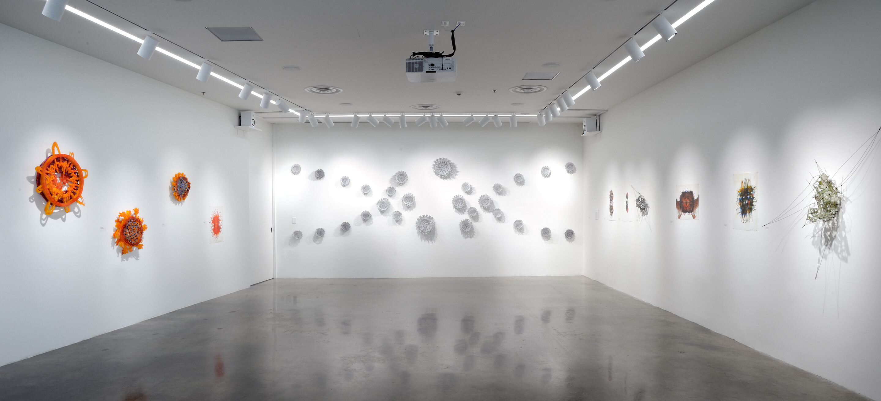 an abstract art exhibition on display