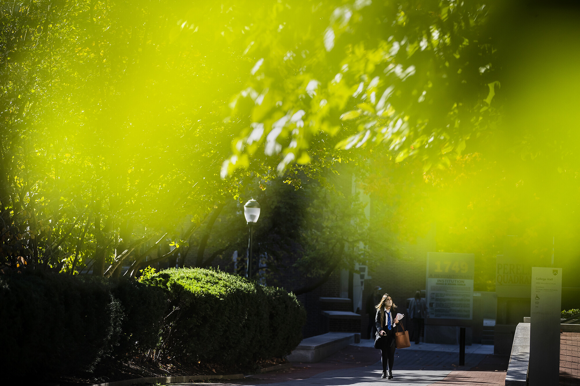 student walking near college hall with green leaves