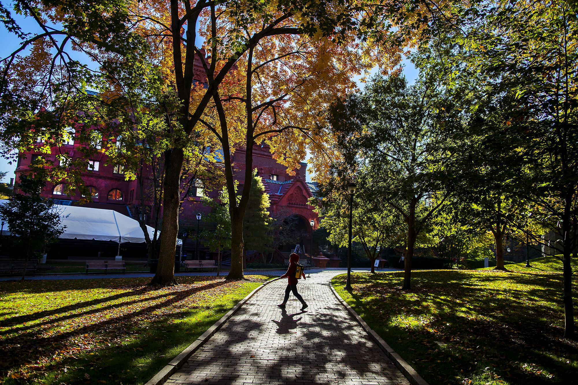 person walking in front of fisher fine arts library
