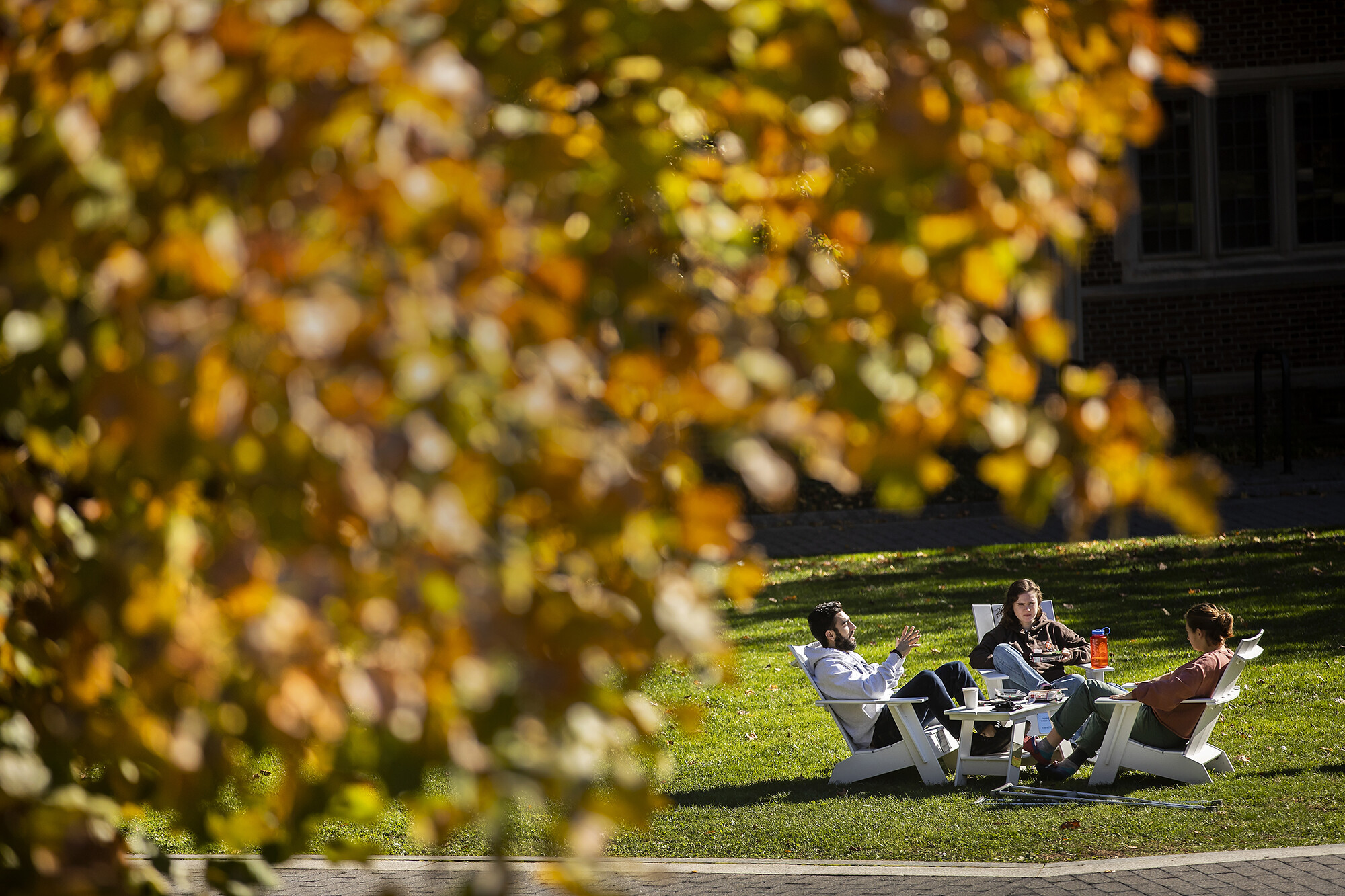 students sitting in chairs on the quad lawn