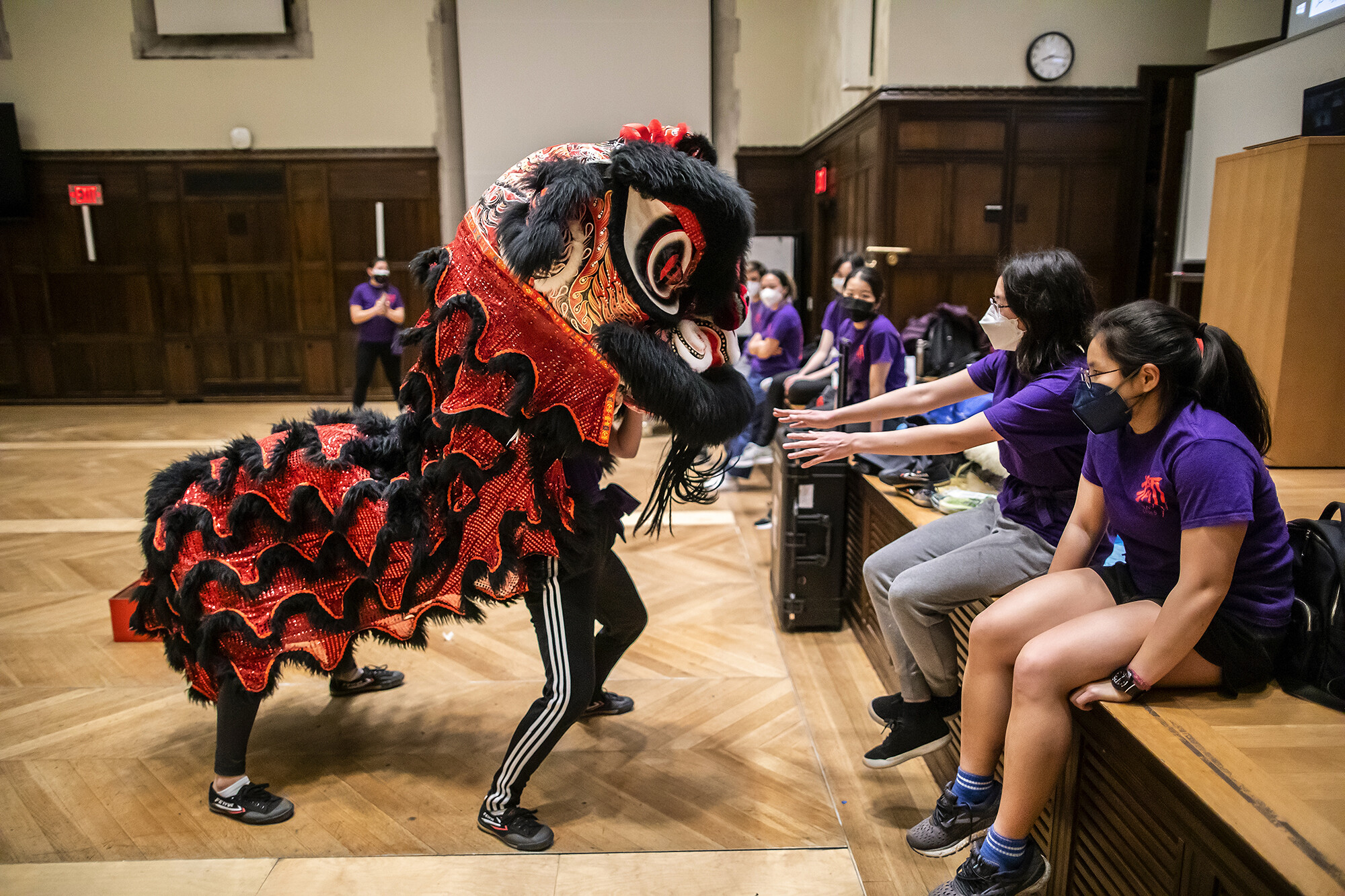 Two dancers in a red and black lion costume approach the stage, where other group members sit. One stretches their hands out to the lion.