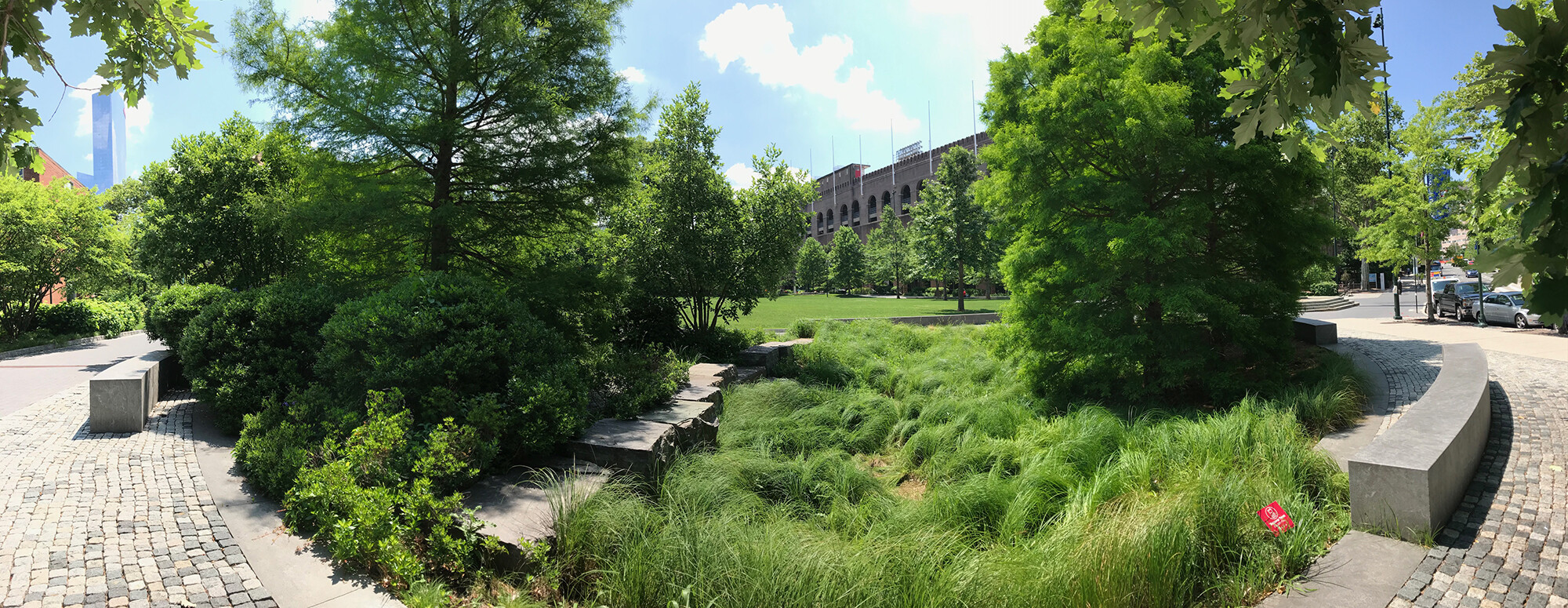 shoemaker green collecting stormwater