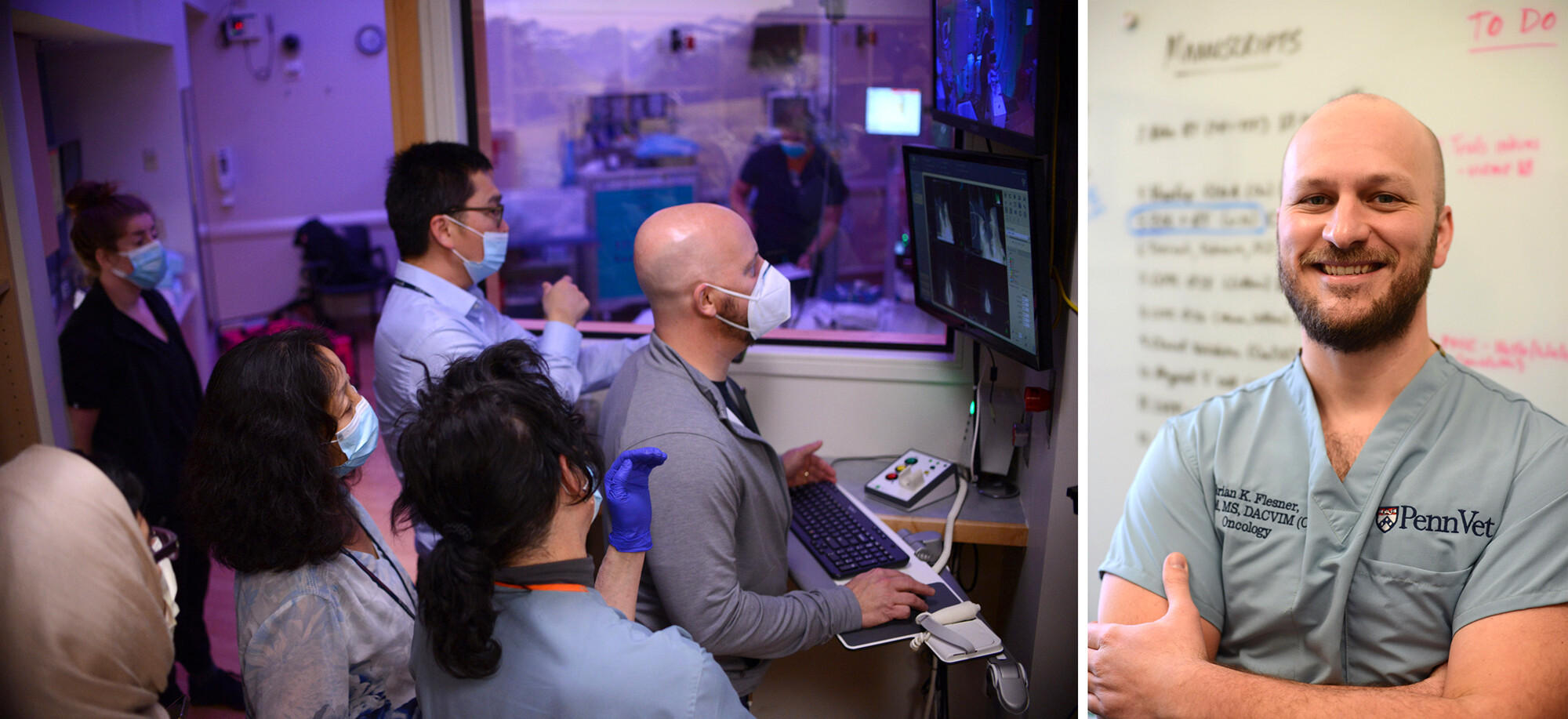 Keith Cengel and the School of Veterinary Medicine’s Brian Flesner