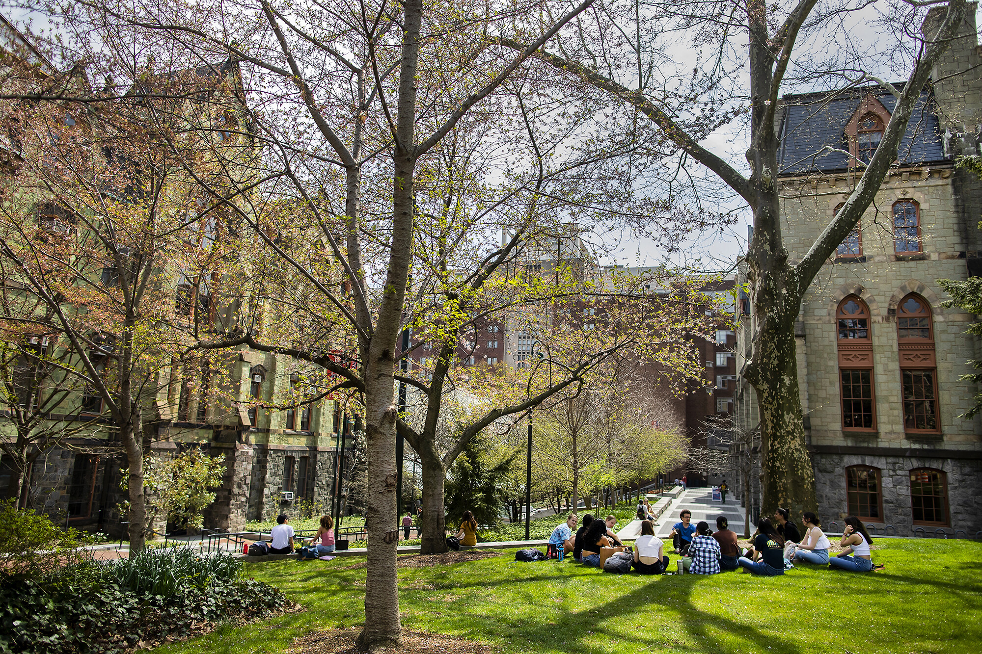 College Green in spring, a group of students are gathered on the grass.