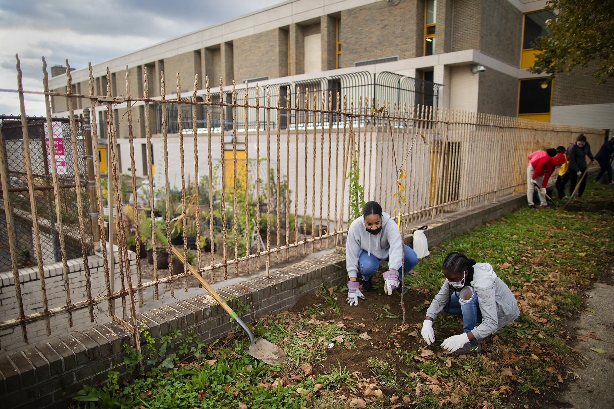 Students digging in the garden in front of Hamilton Elementary in Philadelphia.
