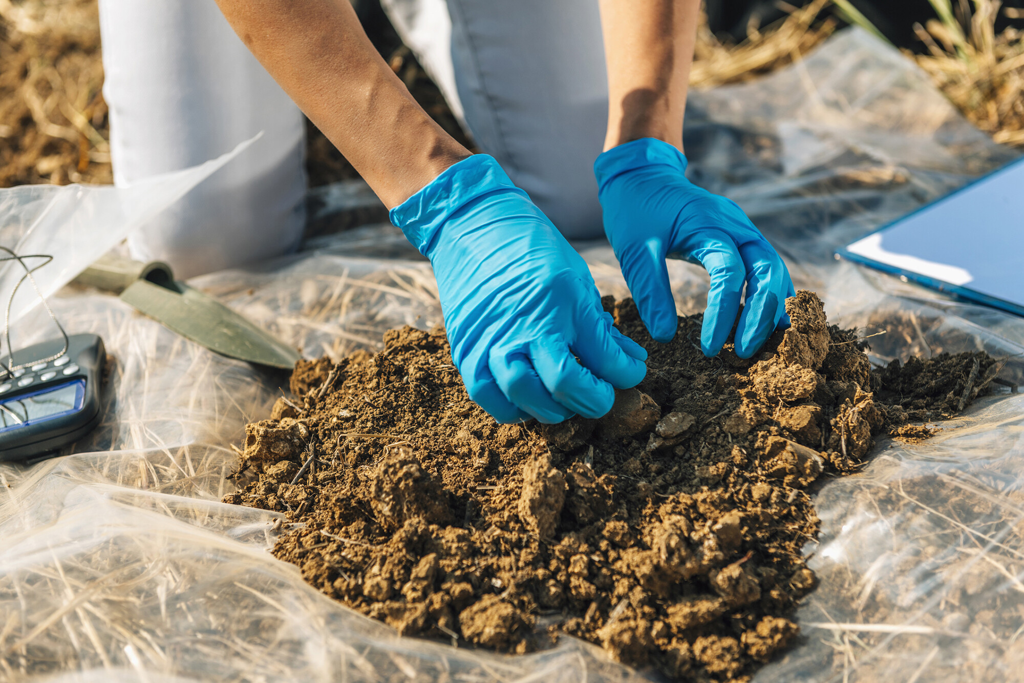 gloved hands working with soil
