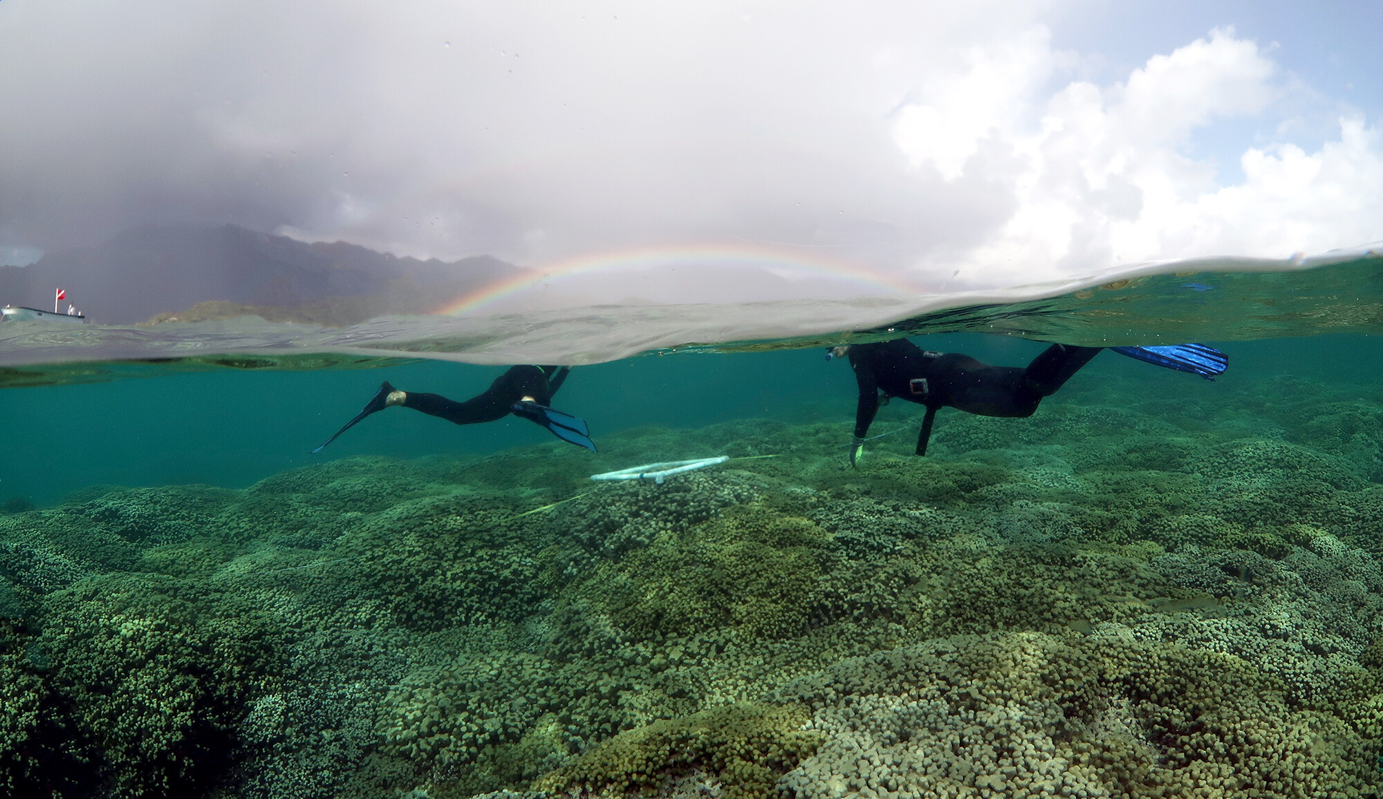 rainbow over coral reefs