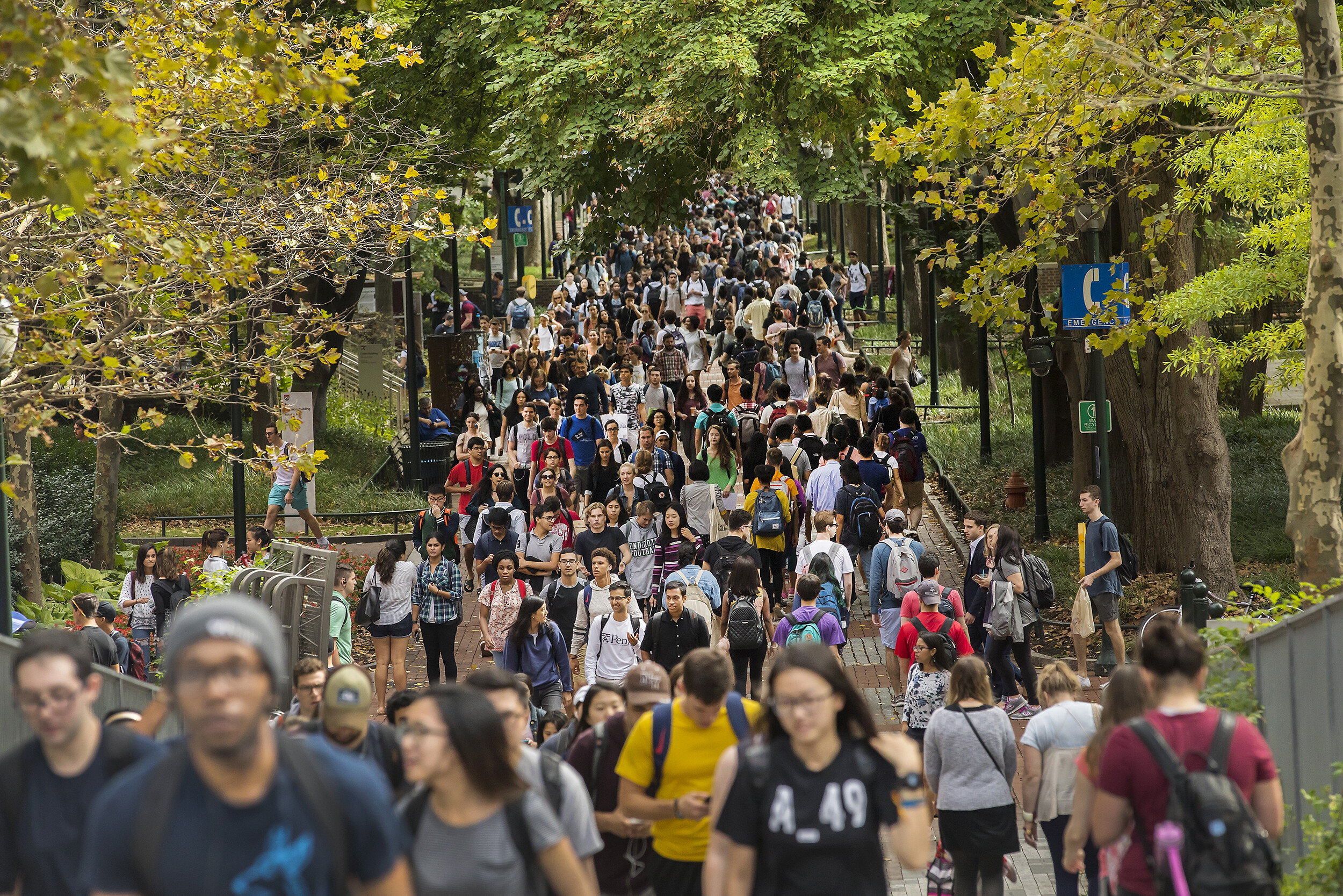 students on locust walk