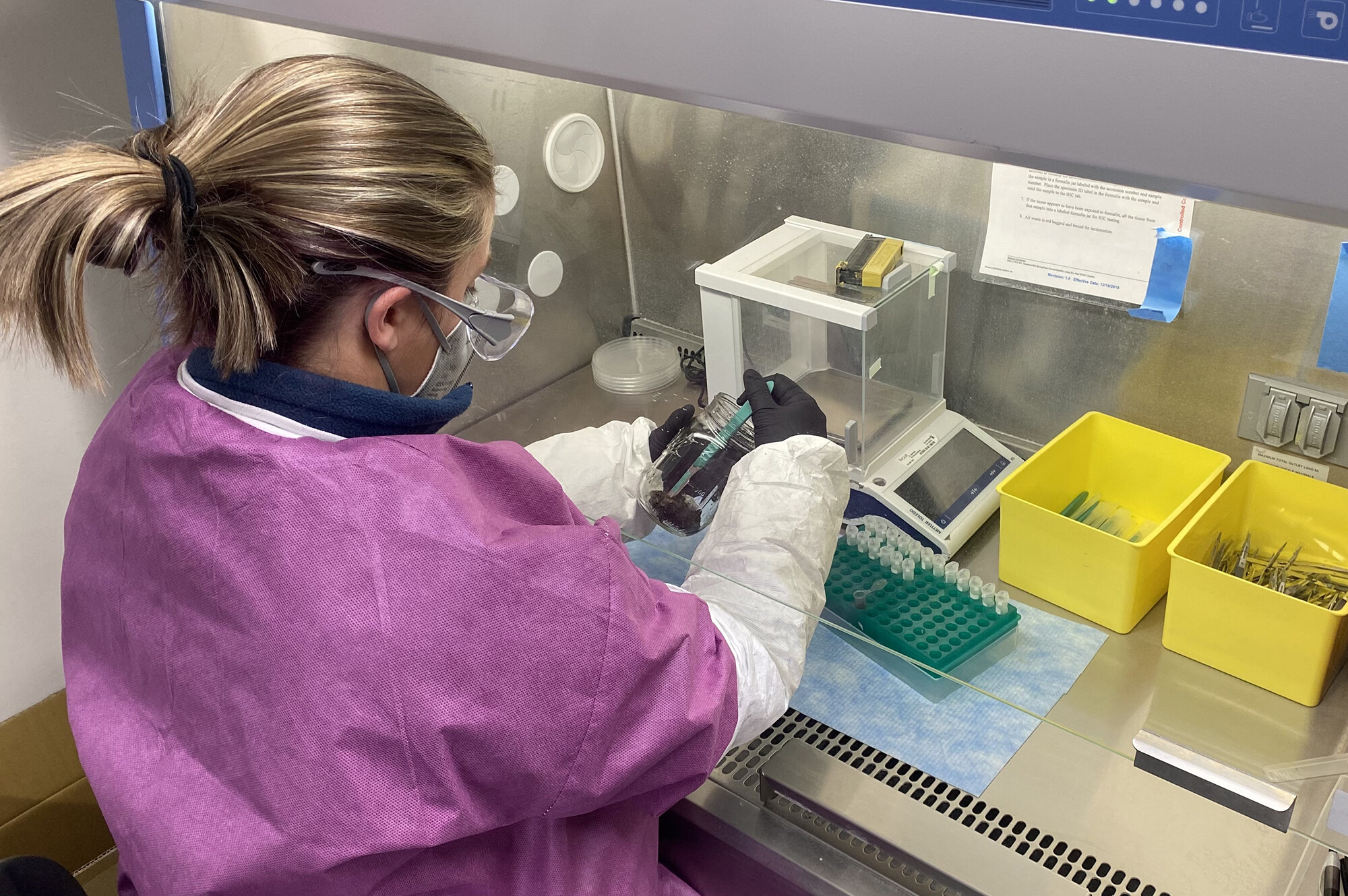 Woman works in a lab.