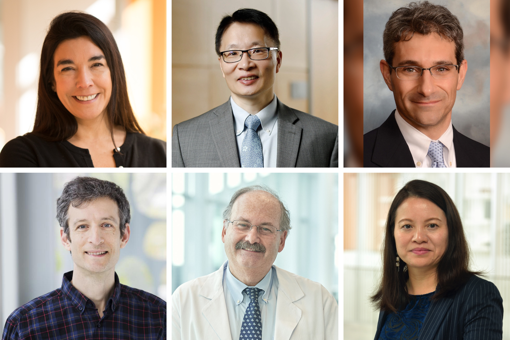 Clockwise from top left: Dolores Albarracín, T. Tony Cai, Noam A. Cohen, Shu Yang, Edward A. Stadtmauer, and Michael Lampson.
