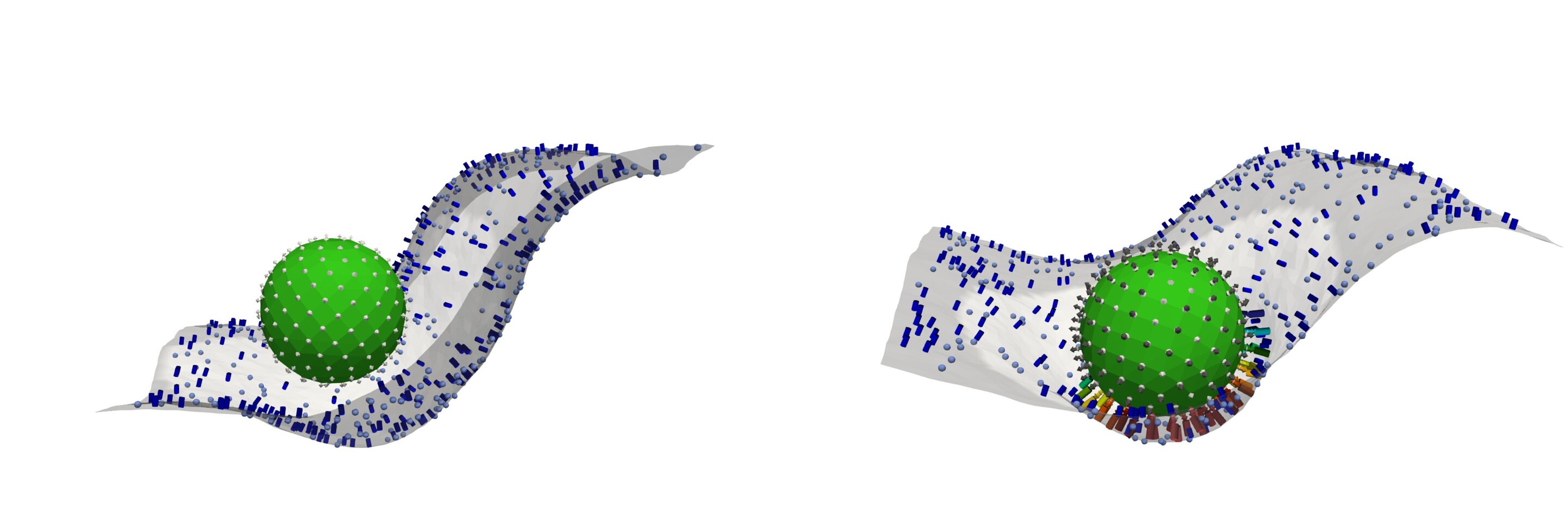 3D renderings ofr fat particles being bombarded with proteins, simulating an in vivo system.