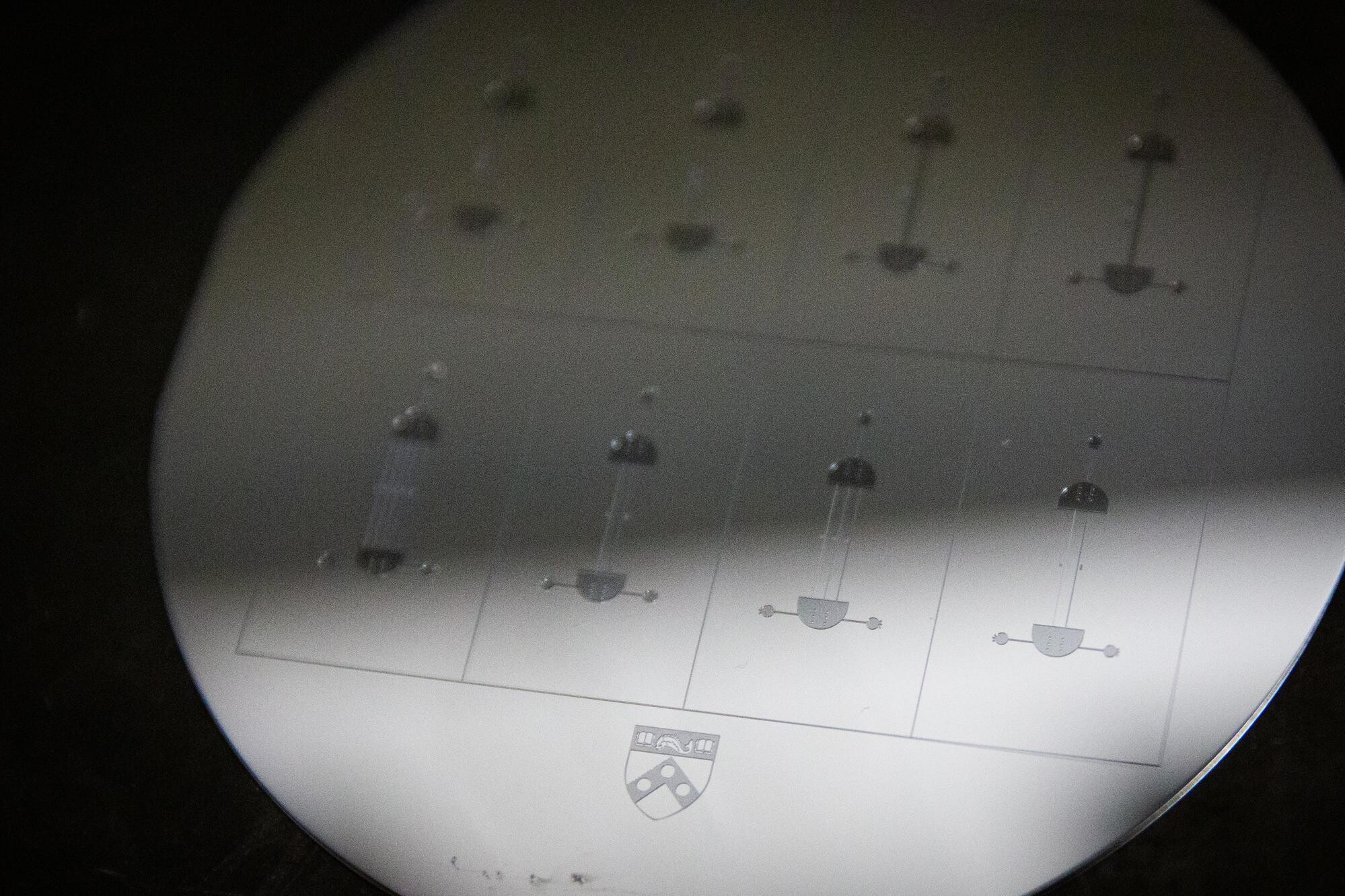 Penn shield etched onto a silicon wafer at the nanoscale.