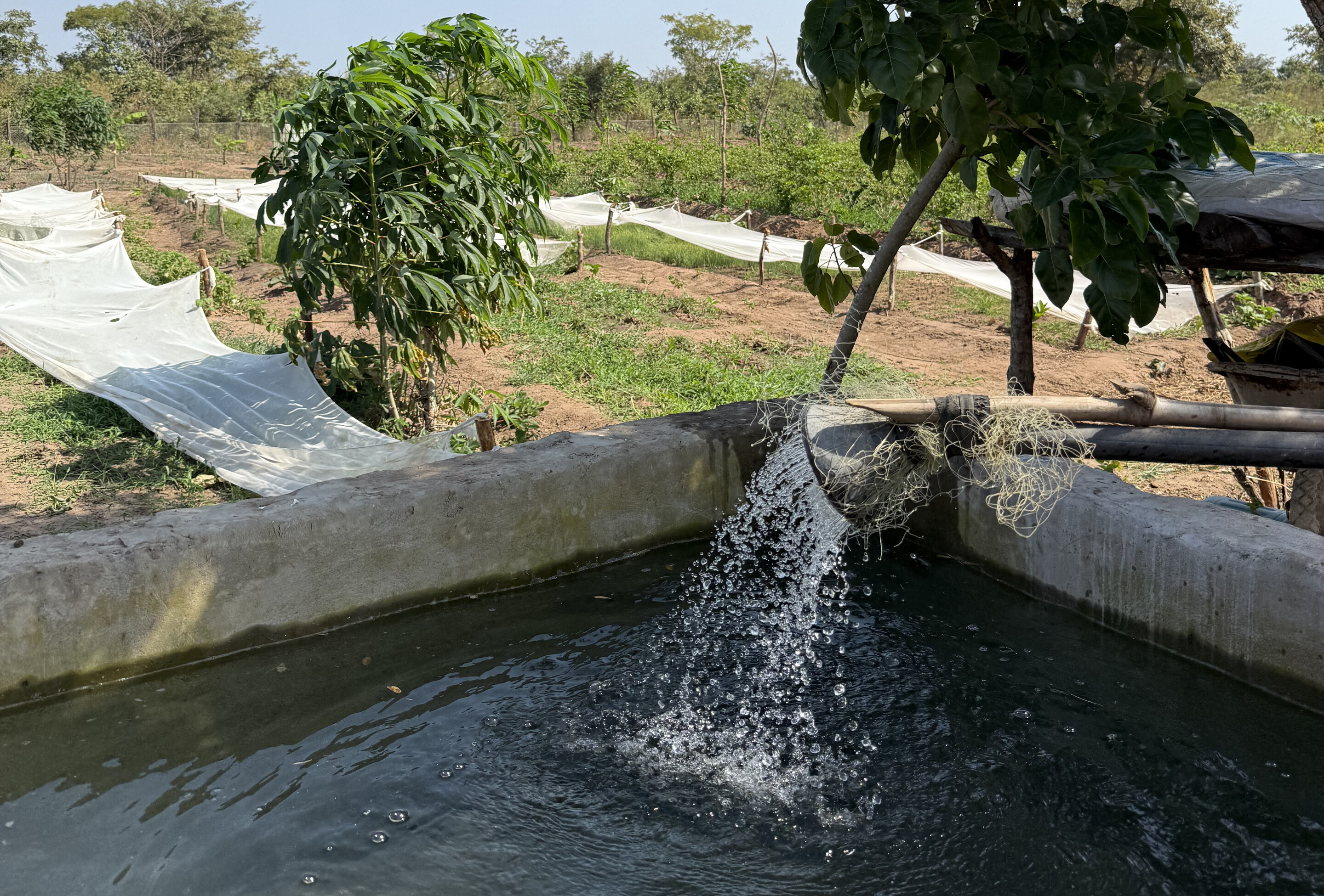 A pipe at the Sabaka Farms Reservoir in Gambia.