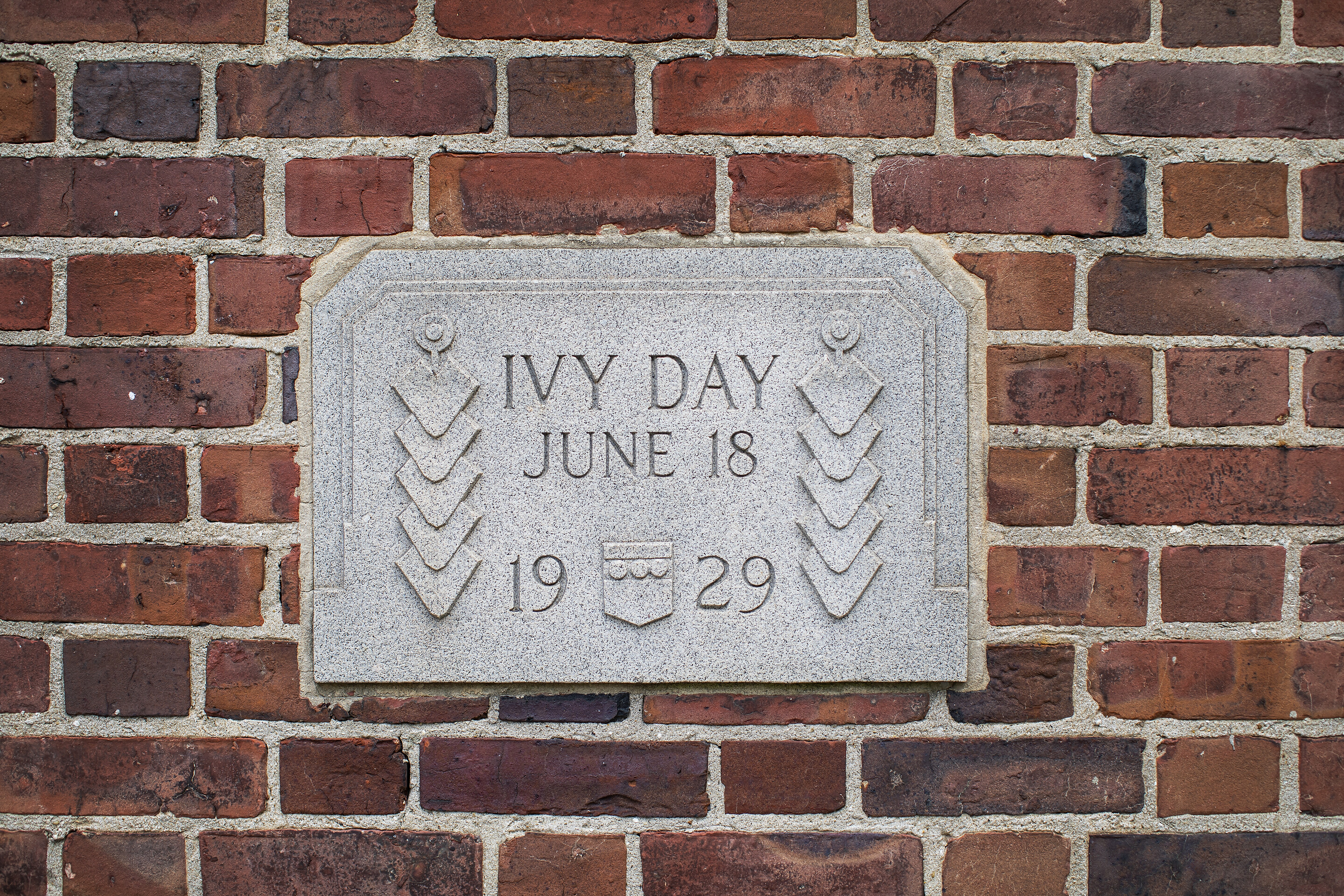 The 1929 Ivy Stone.