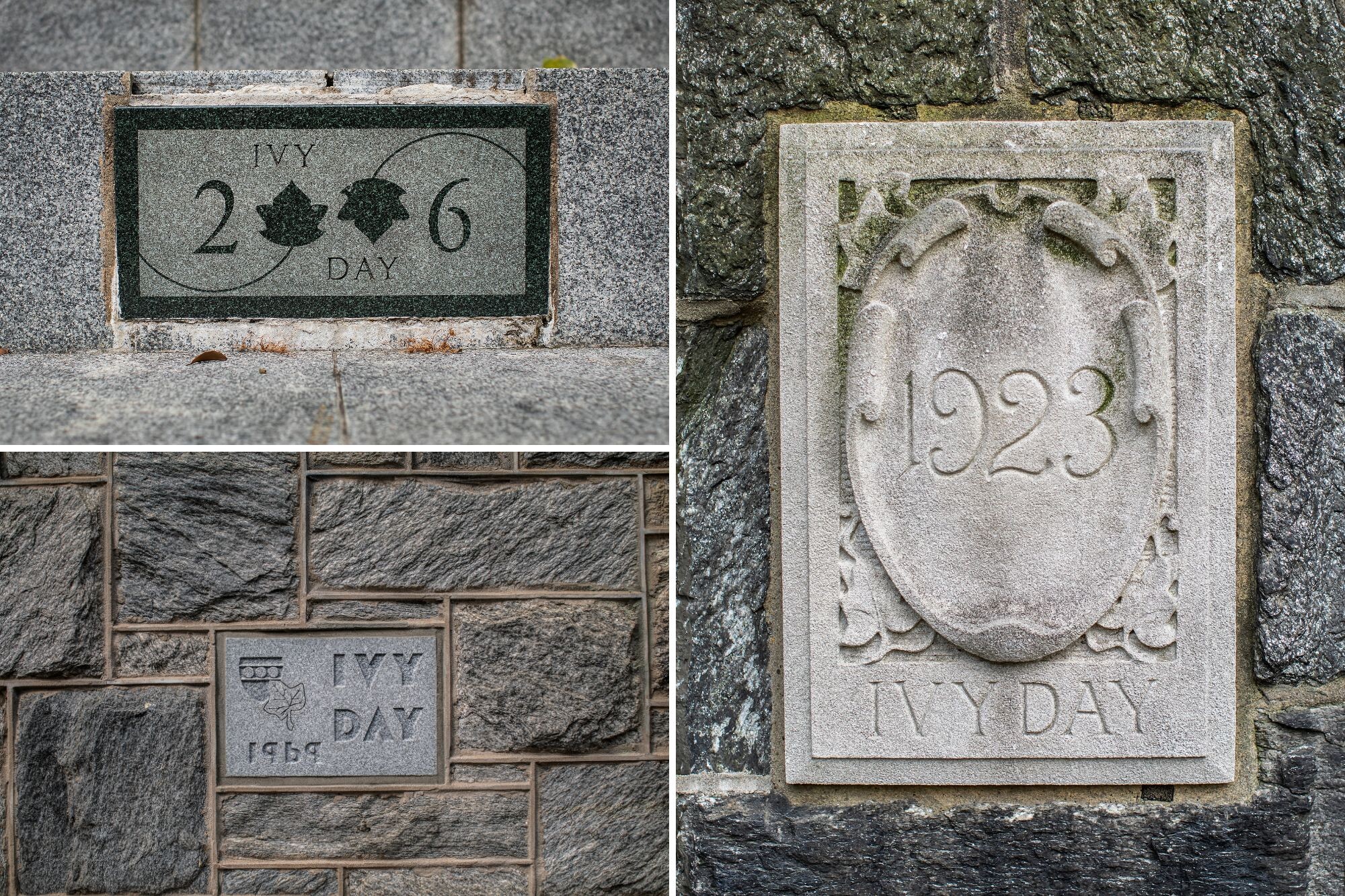 Ivy Stones from the years 2006, 1969, and 1923