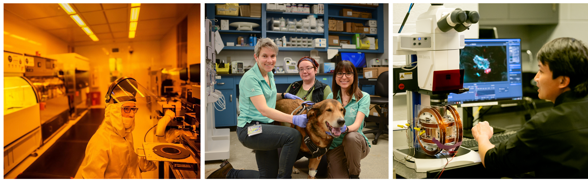 (Left to right): A worker in PPE in a lab in the Singh Center; Nicola Mason, Mary Beth Boland, and Antonia Rotolo with Rex, first dog treated on metastatic osteosarcoma trial; and a student controlling and monitoring the deployment of microrobots.