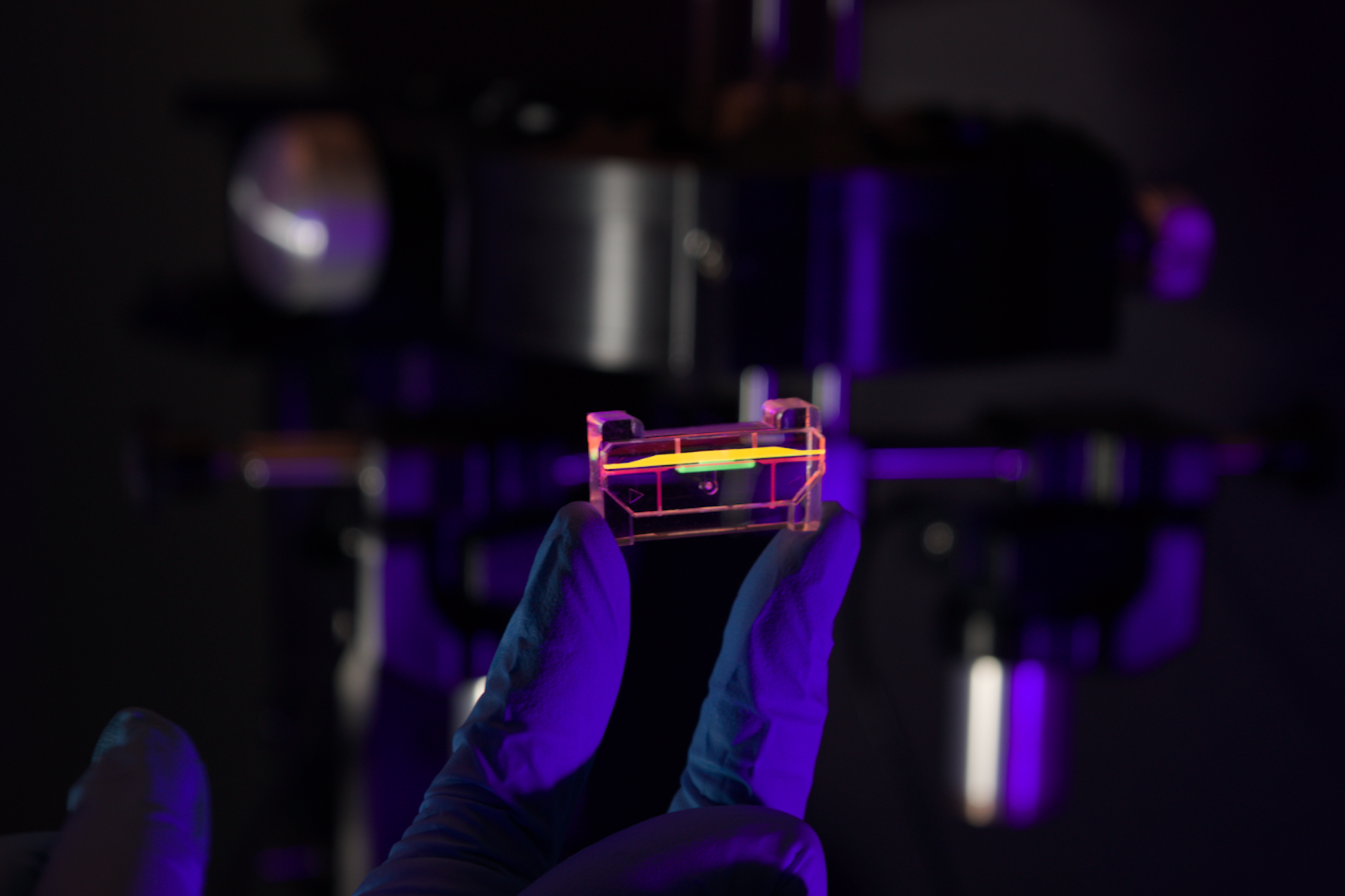 A chip with asthma cells being held up in a dark, neon-colored laboratory environment