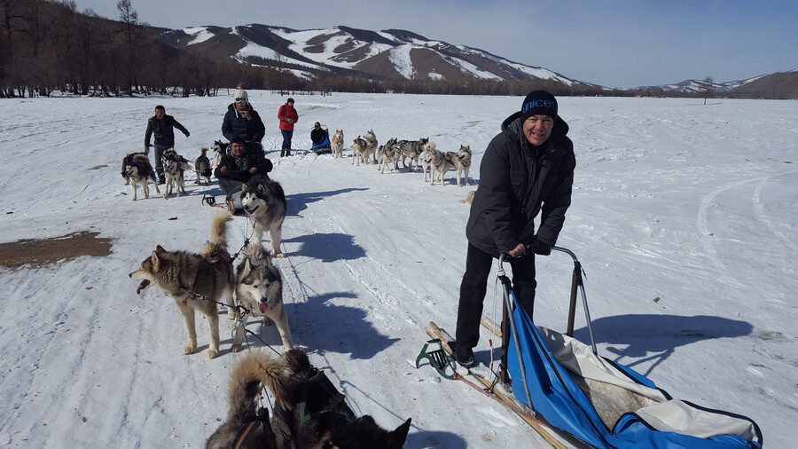 Travel by dogsleds