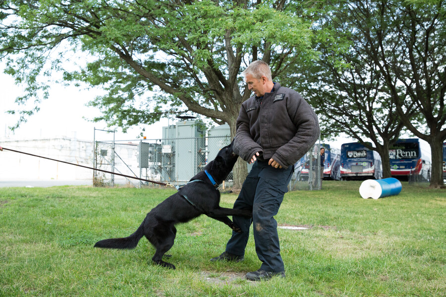 Law enforcement training program