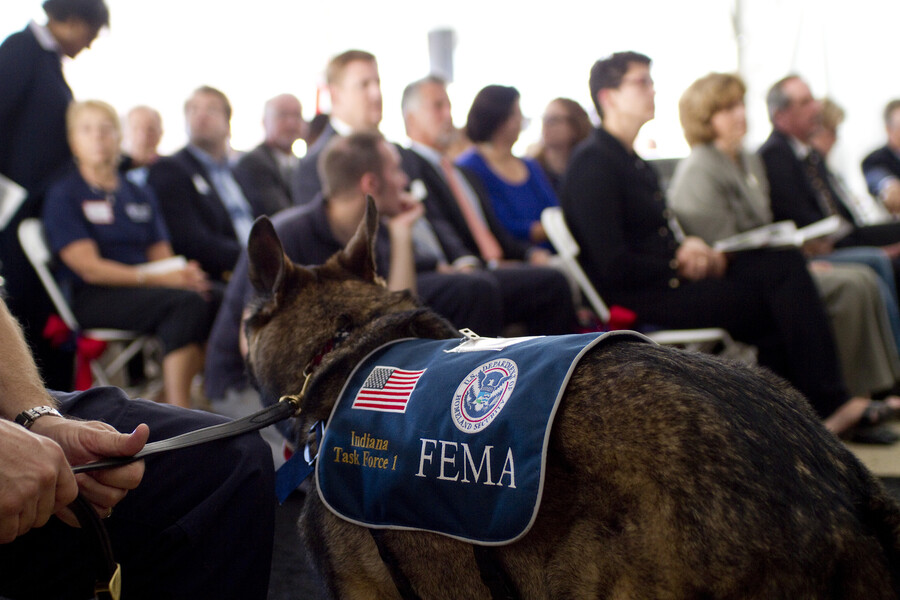 Penn Working Dog Center 5 Year