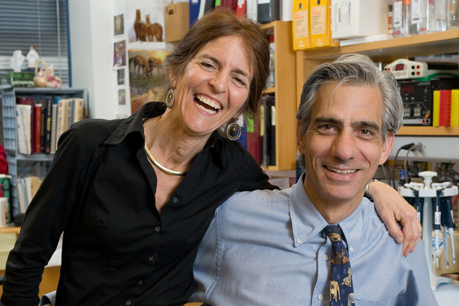 Jean Bennett, MD, PhD, and Albert M. Maguire, MD