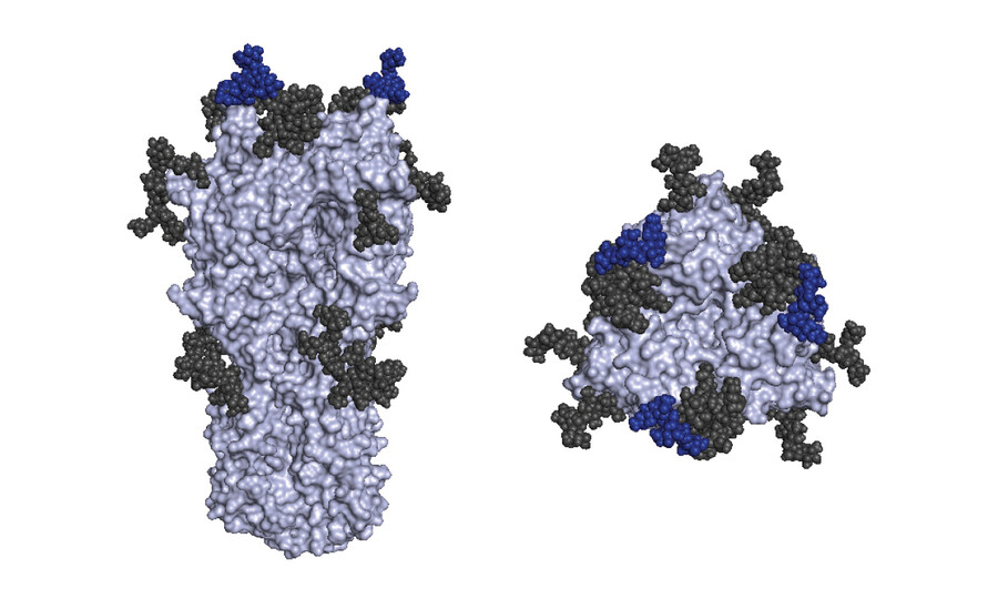 Flu Virus