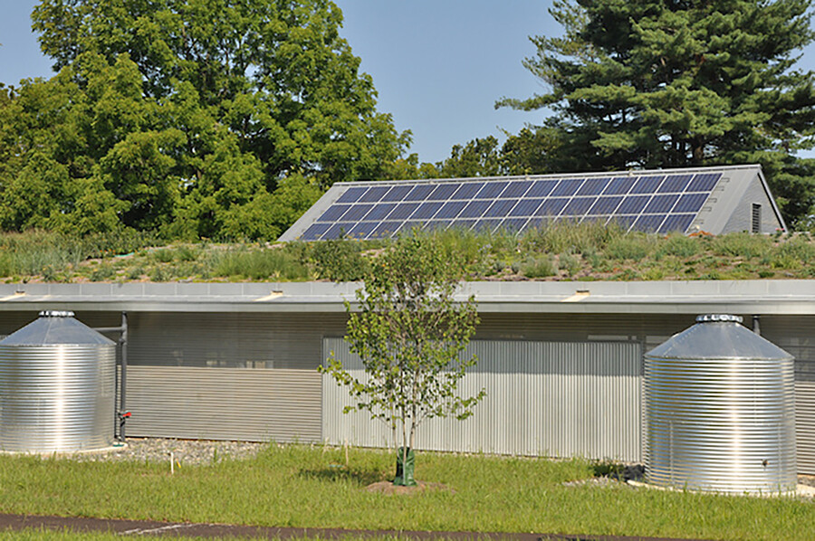 Arboretum green roof