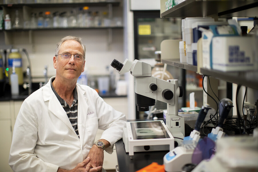 James Lok, Penn Vet