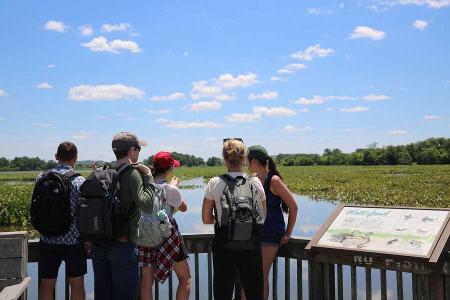 John Heinz National Wildlife Refuge