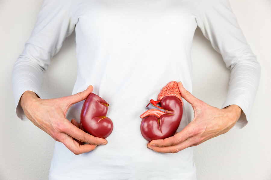 kidneys