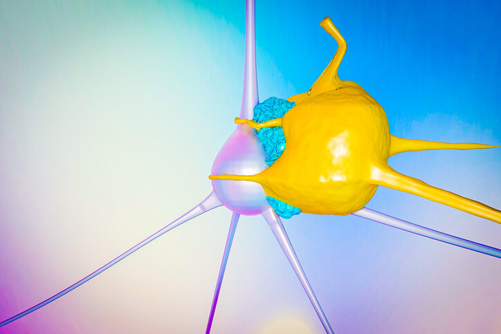 action-schematic-of-t-cell-destroying-a-cancer-cell