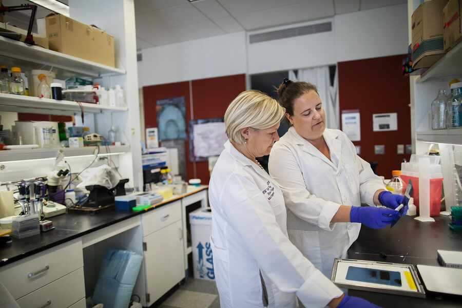Cutting-edge science moves to the clinic to help ‘our furry friends’ fight cancer