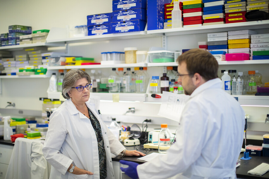 Cutting-edge science moves to the clinic to help ‘our furry friends’ fight cancer