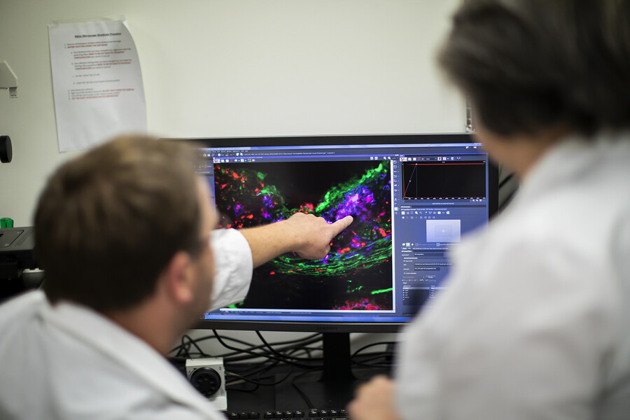 Cutting-edge science moves to the clinic to help ‘our furry friends’ fight cancer