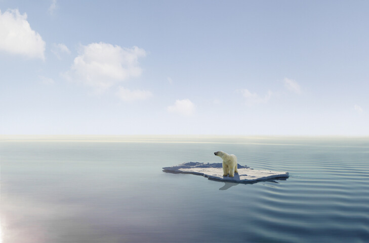 polar bear on a patch of ice floating in the ocean