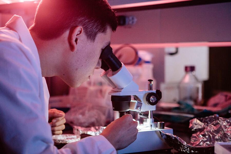 student working on a microscope