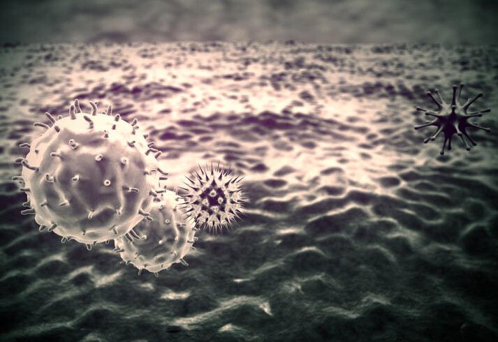 microscopic macrophages