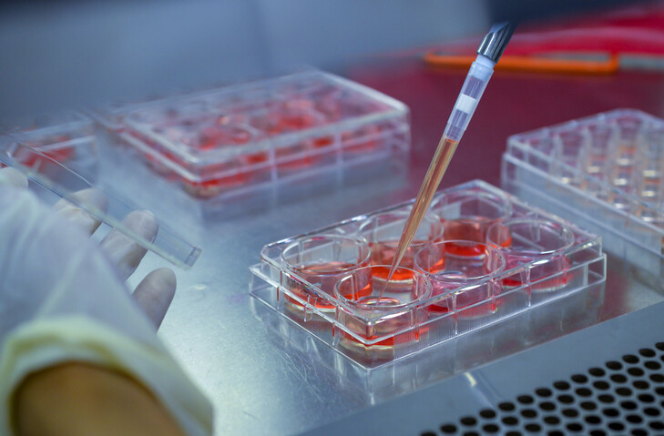 pipette and sample tray