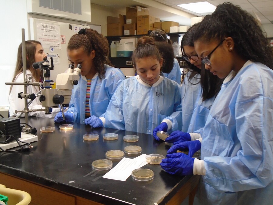 students work in nursing lab