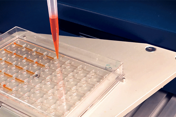 Animation of syringe pump injecting an organ on a chip